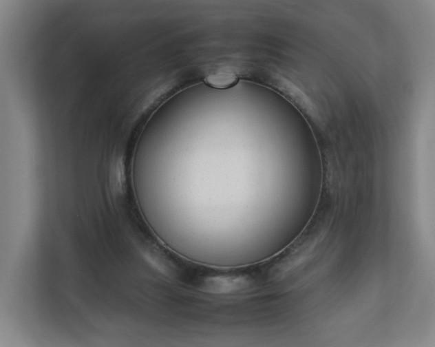 X0000111950251200908031204