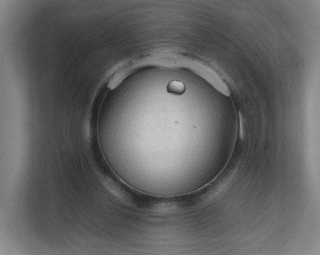 X0000111950252200908031204