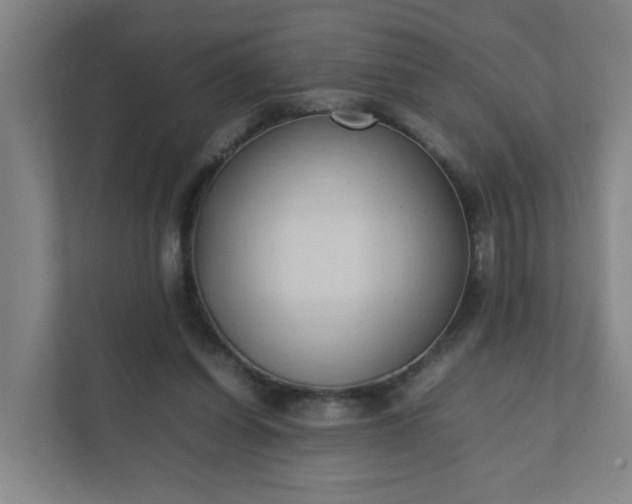 X0000111950254200908031204