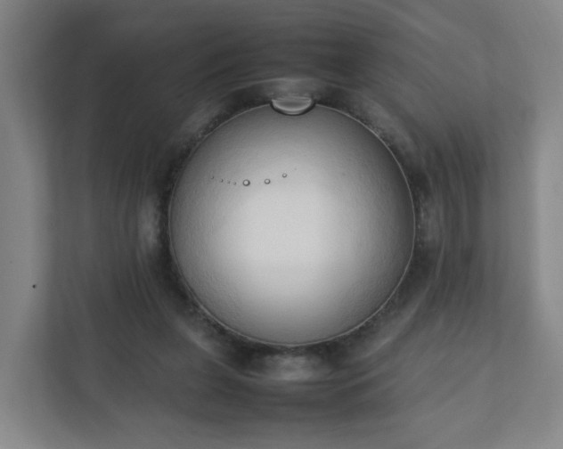 X0000111950255200908031204