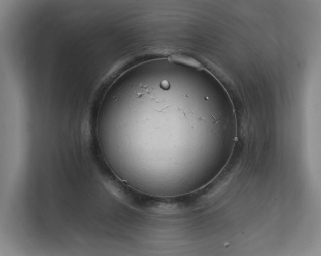X0000111950256200908031204