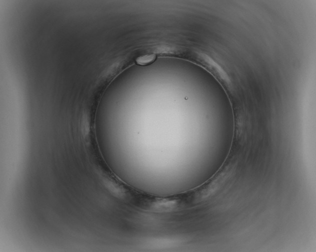 X0000111950257200908031204