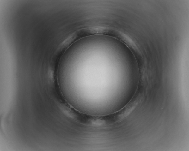 X0000111950258200908031204