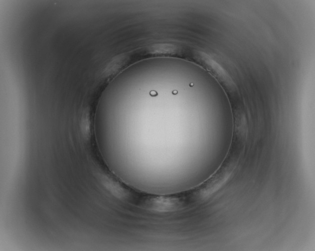 X0000111950261200908031204