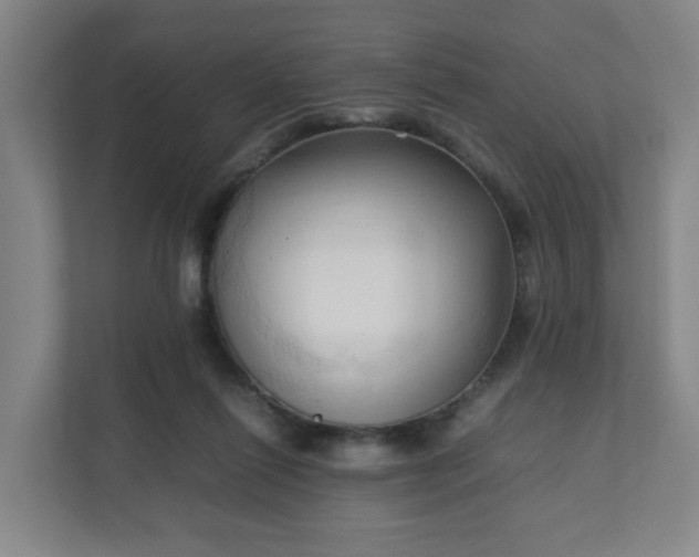 X0000111950262200908031204