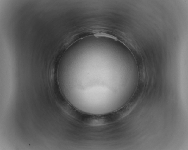 X0000111950263200908031204
