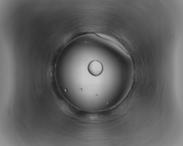X0000111950264200908031204