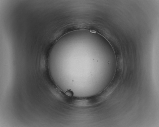 X0000111950266200908031204