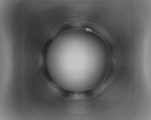 X0000111950270200908031204