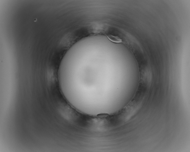 X0000111950272200908031204