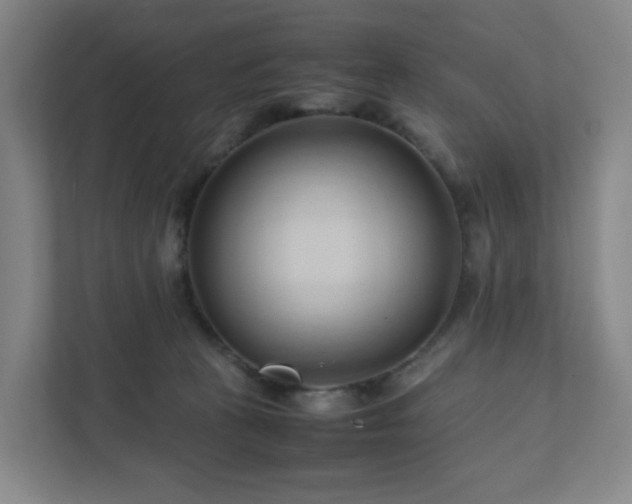 X0000111950273200908031204