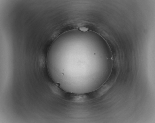 X0000111950274200908031204