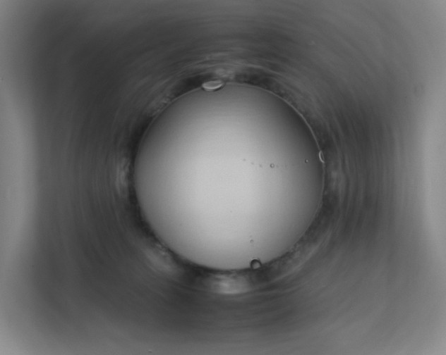 X0000111950275200908031204