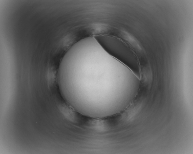 X0000111950276200908031204