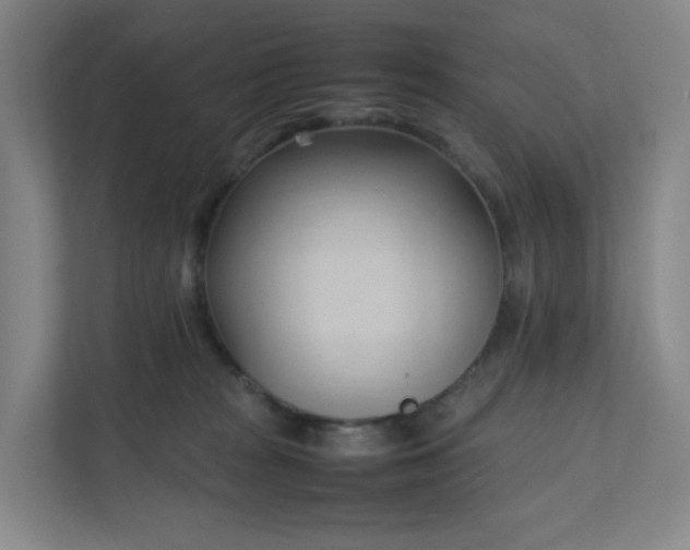 X0000111950277200908031204