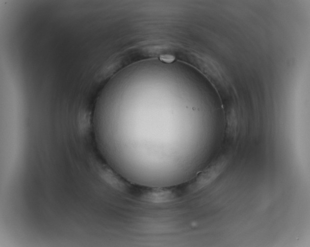 X0000111950278200908031204