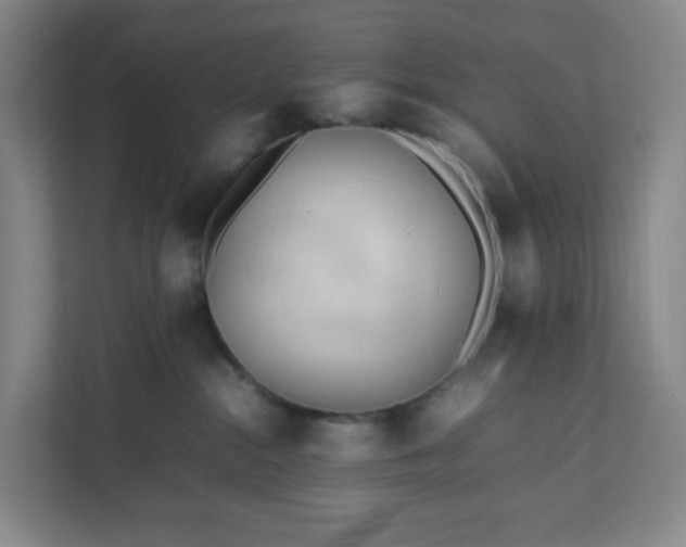 X0000111950284200908031204