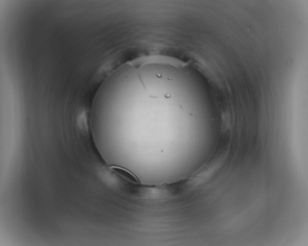 X0000111950286200908031204