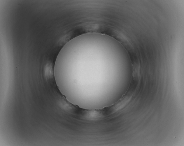 X0000111950287200908031204