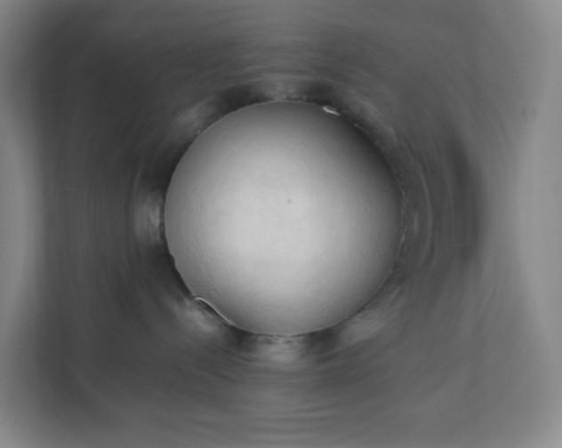 X0000111950288200908031204