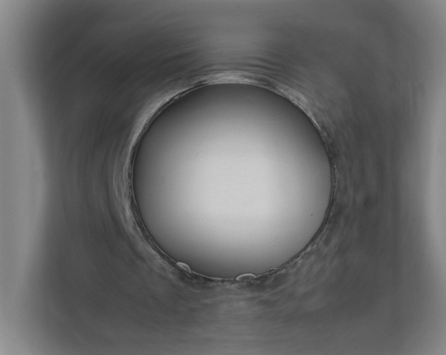 X0000111950289200908031204