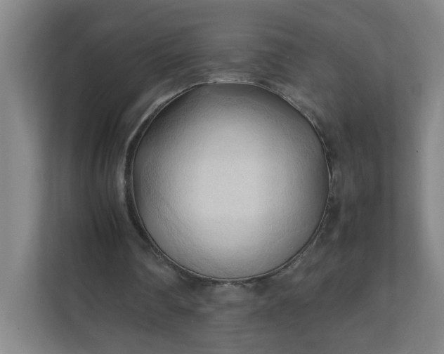 X0000111950290200908031204