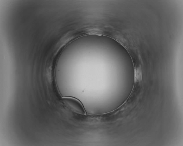 X0000111950291200908031204