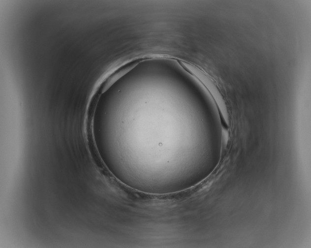X0000111950292200908031204