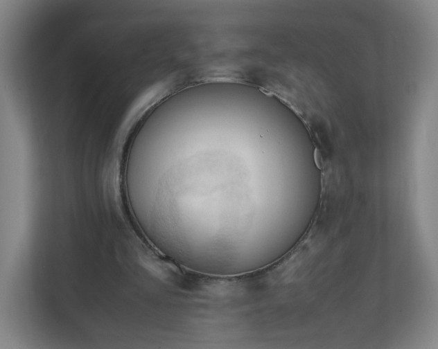 X0000111950293200908031204