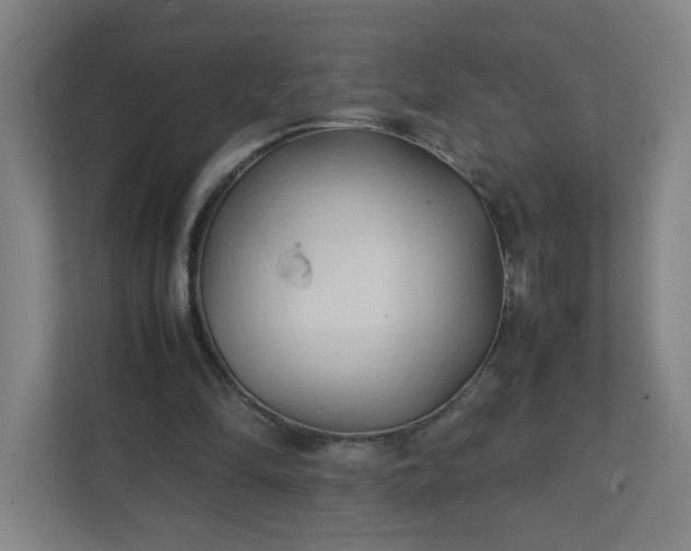 X0000111950294200908031204