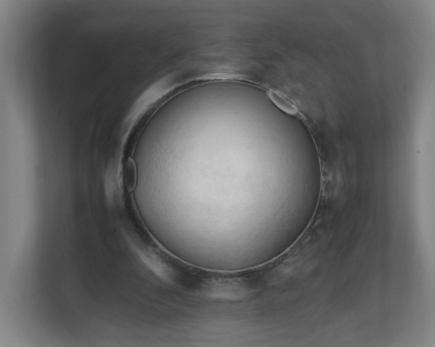 X0000111950296200908031204