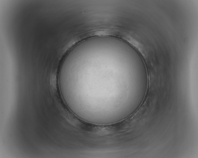 X0000111950297200908031203
