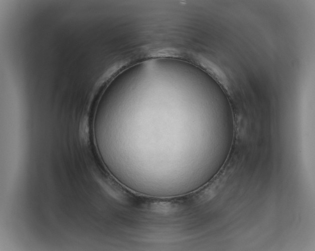 X0000111950298200908031203