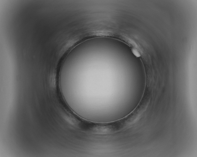 X0000111950299200908031203