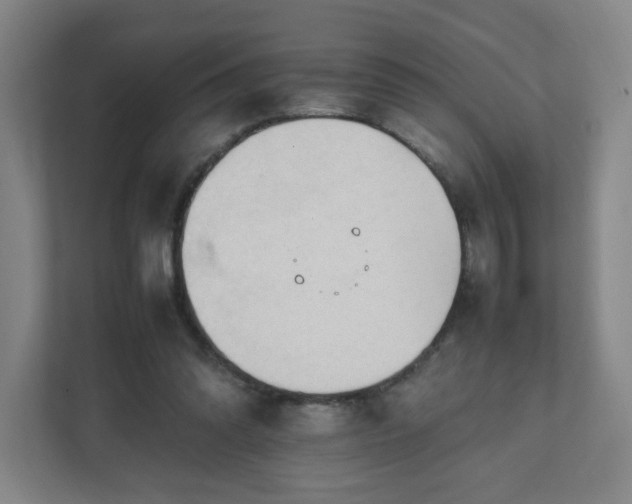 X0000111950302200908031203
