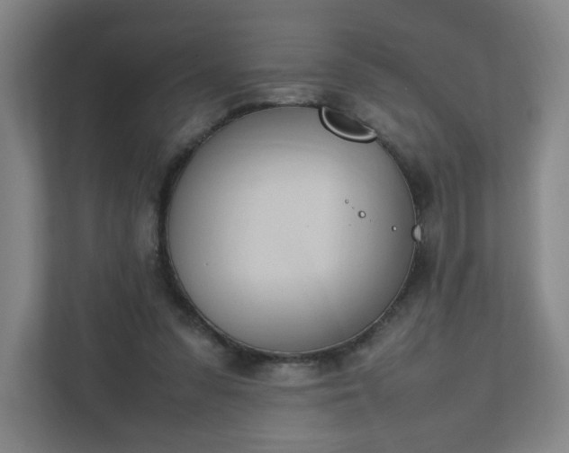 X0000111950303200908031203
