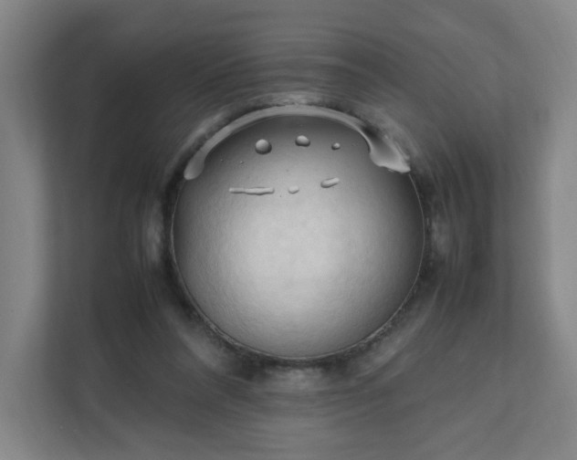 X0000111950304200908031203