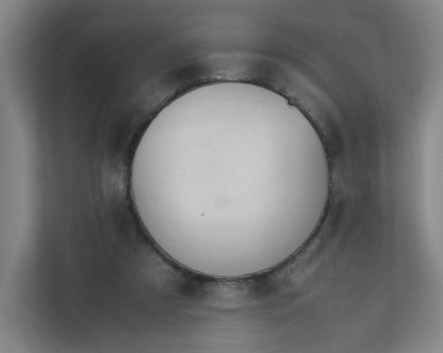 X0000111950305200908031203