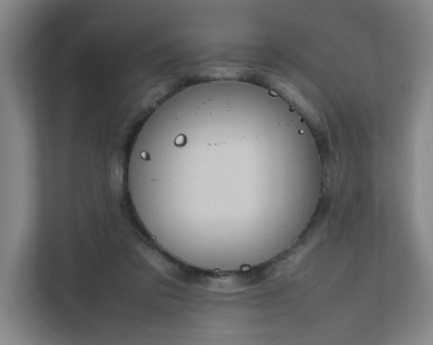 X0000111950309200908031203