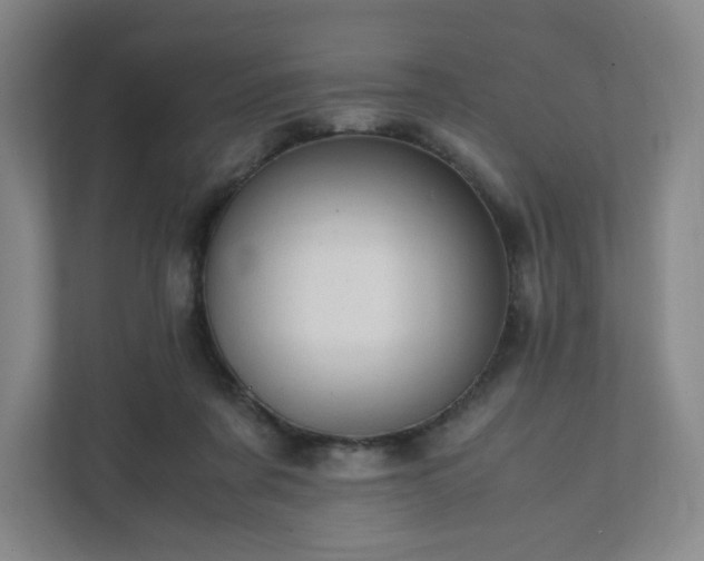 X0000111950311200908031203