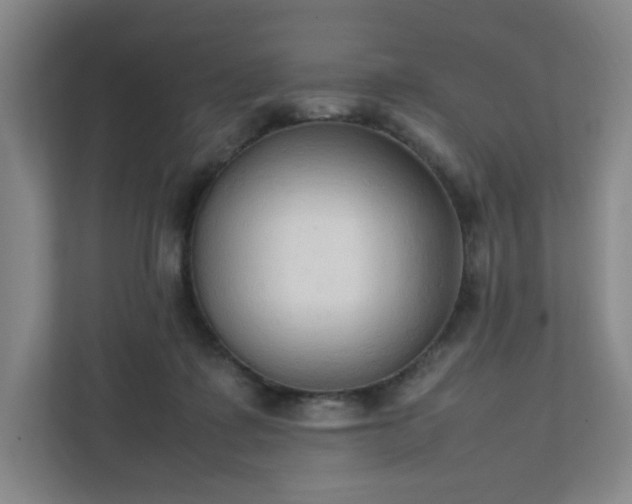 X0000111950315200908031203