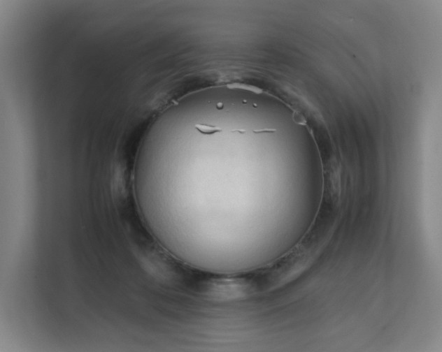 X0000111950316200908031203