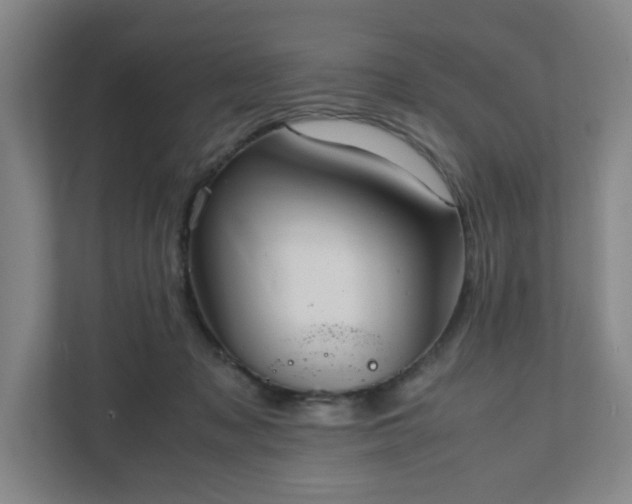 X0000111950317200908031203
