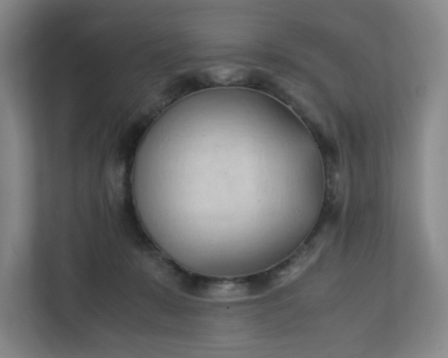 X0000111950319200908031203