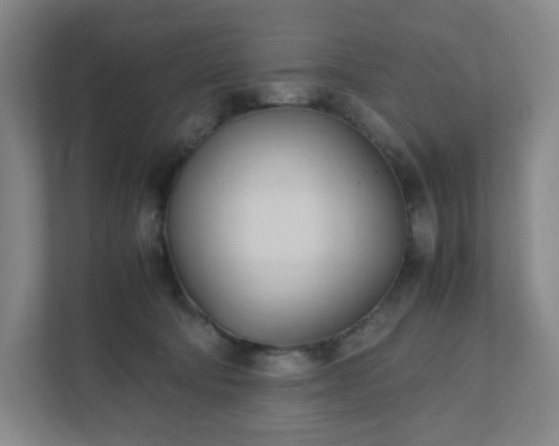 X0000111950322200908031203
