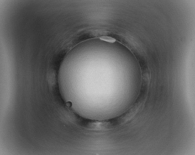 X0000111950323200908031203