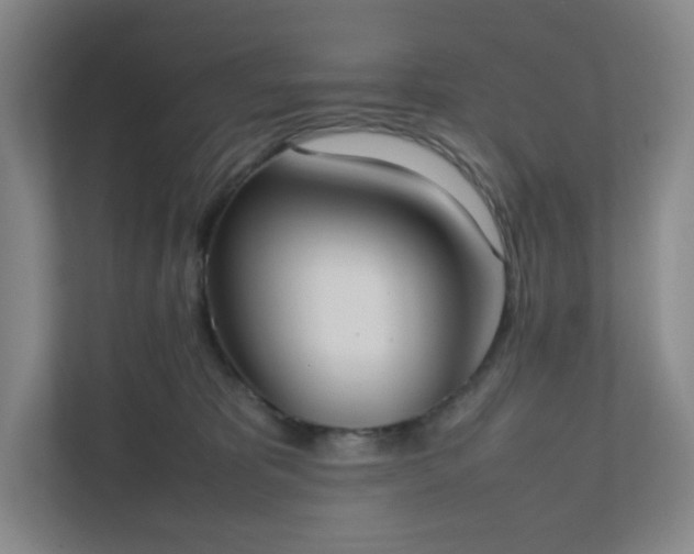 X0000111950325200908031203