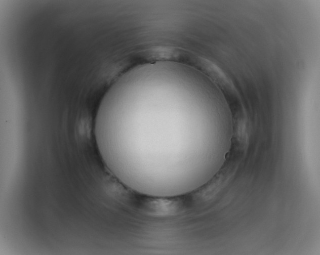 X0000111950326200908031203