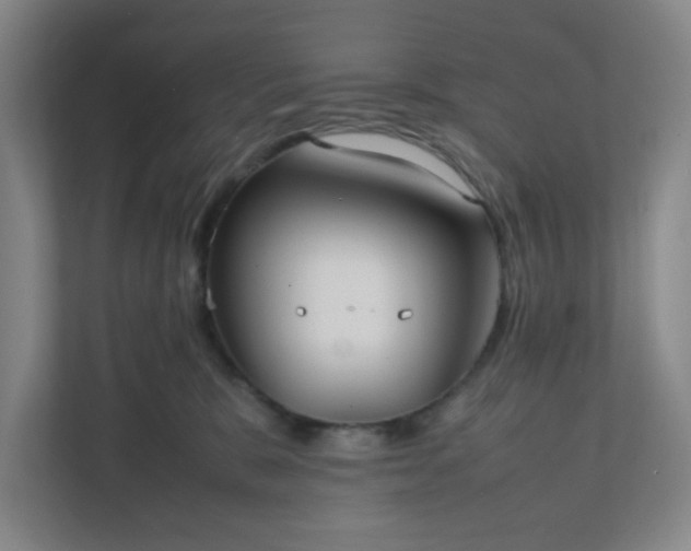 X0000111950327200908031203