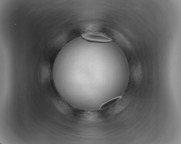 X0000111950328200908031203